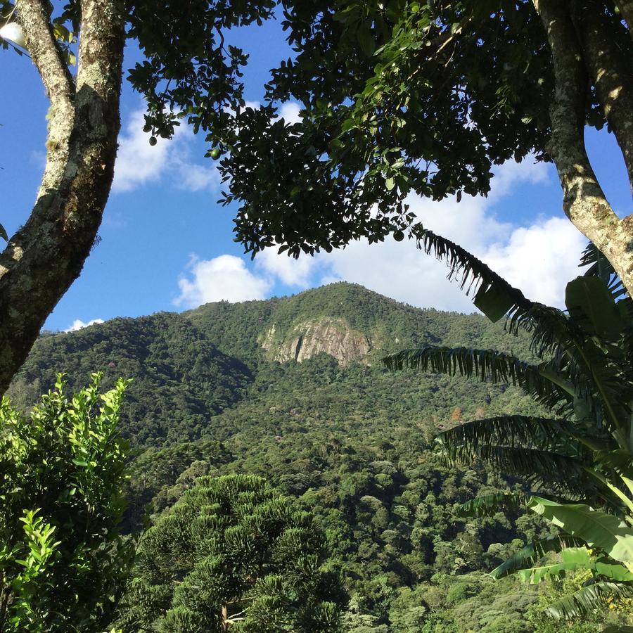 Hotel Abrigo Da Reserva Santo Antônio do Pinhal Zewnętrze zdjęcie